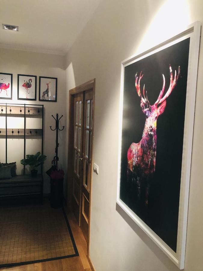 Anova Apartment Padrón